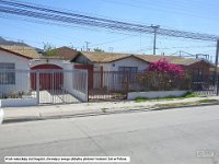 040 DSCN2948  A tak mieszkajÄ
 ciut bogatsi, chroniÄ
cy swego dobytku pÅotami i kratami.