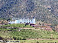 086 DSCN3323  Winnice Indomita w dolinie Casablanki koÅo Valparaiso.