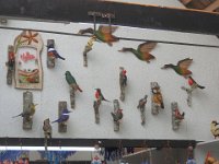 103 DSCN3389  Ptaszki.