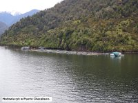 123 DSCN3638  Chodowla ryb w Puerto Chacabuco.