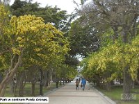063 DSCN4555  Park w centrum Punta Arenas.