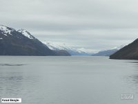 085 DSCN4684  KanaÅ Beagle.