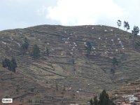 056 DSCN1882  Cusco.