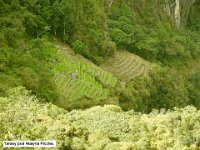 137 DSCN2324  Tarasy pod Huayna Picchu.