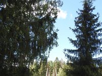 087 DSCN5937