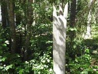 094 DSCN5946